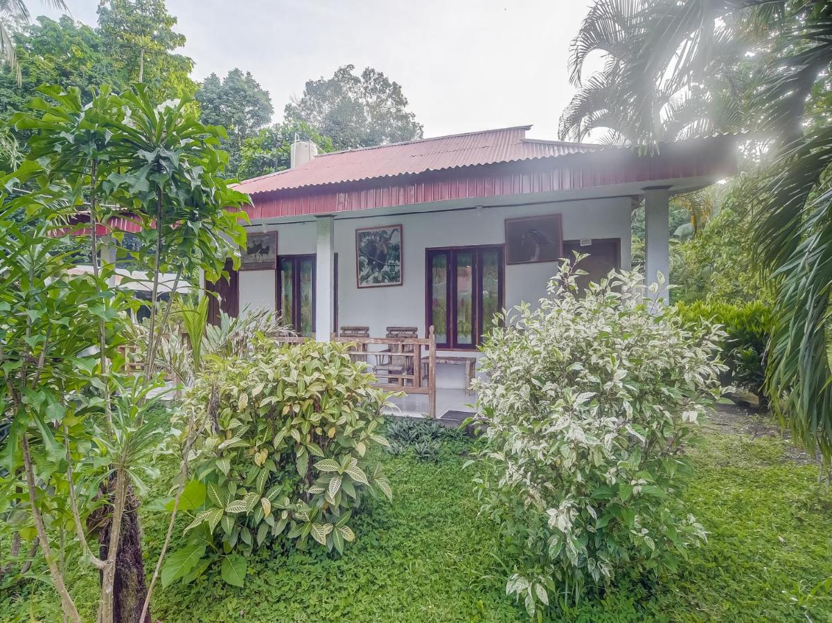 Oyo 90988 Tangkoko Jungle Homestay Rinondoran Esterno foto