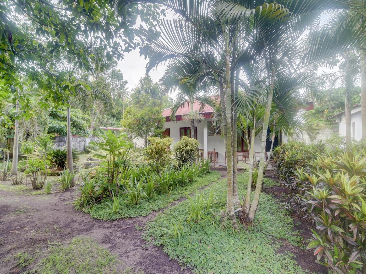 Oyo 90988 Tangkoko Jungle Homestay Rinondoran Esterno foto
