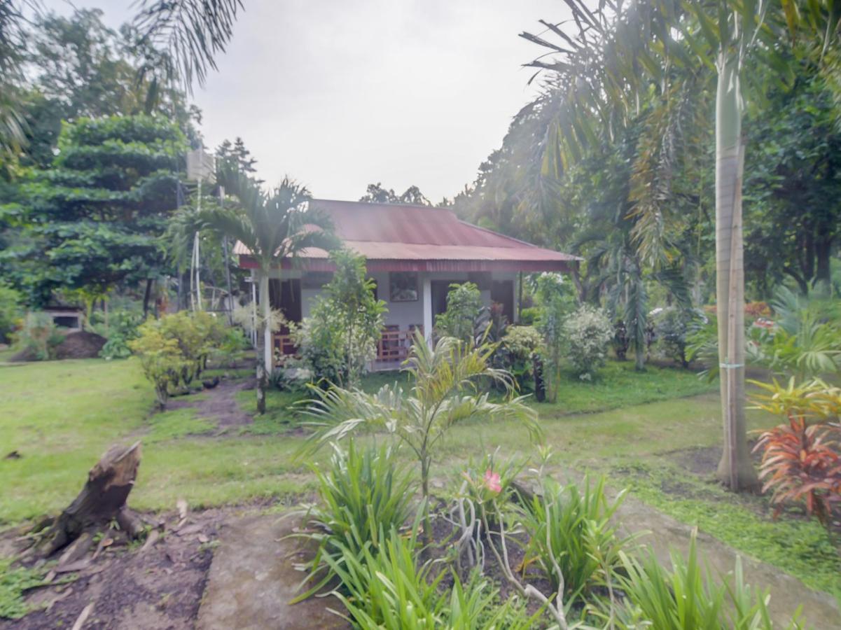 Oyo 90988 Tangkoko Jungle Homestay Rinondoran Esterno foto